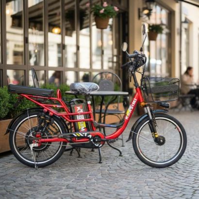 صورة دراجة كهربائية مقاس 22